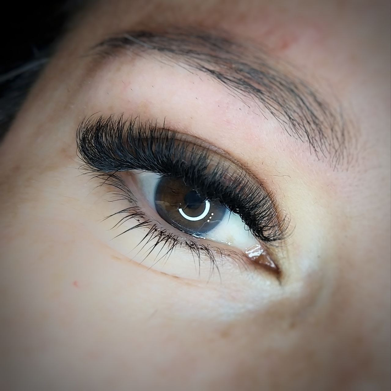 photo_5109737255525789279_y