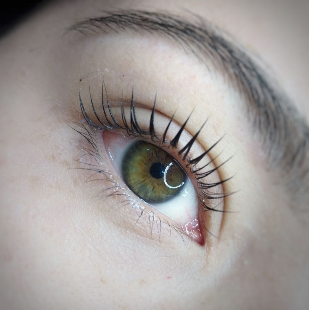 photo_5109737255525789280_y