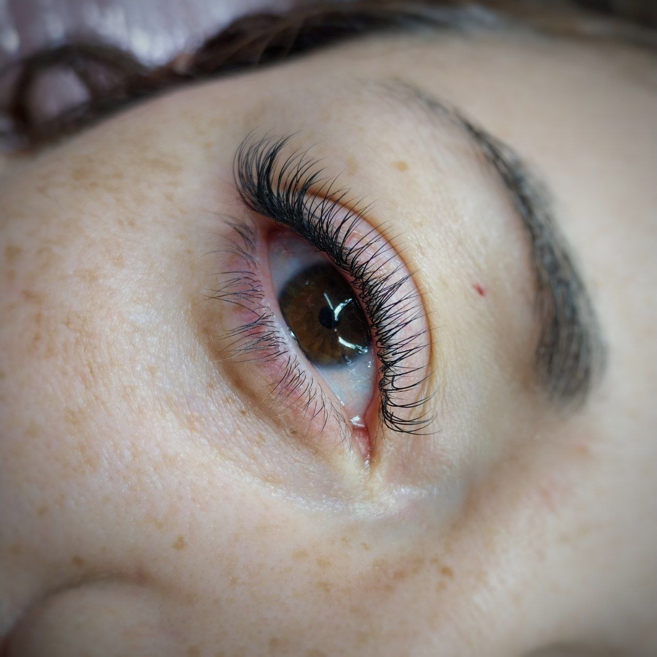 photo_5109737255525789282_y