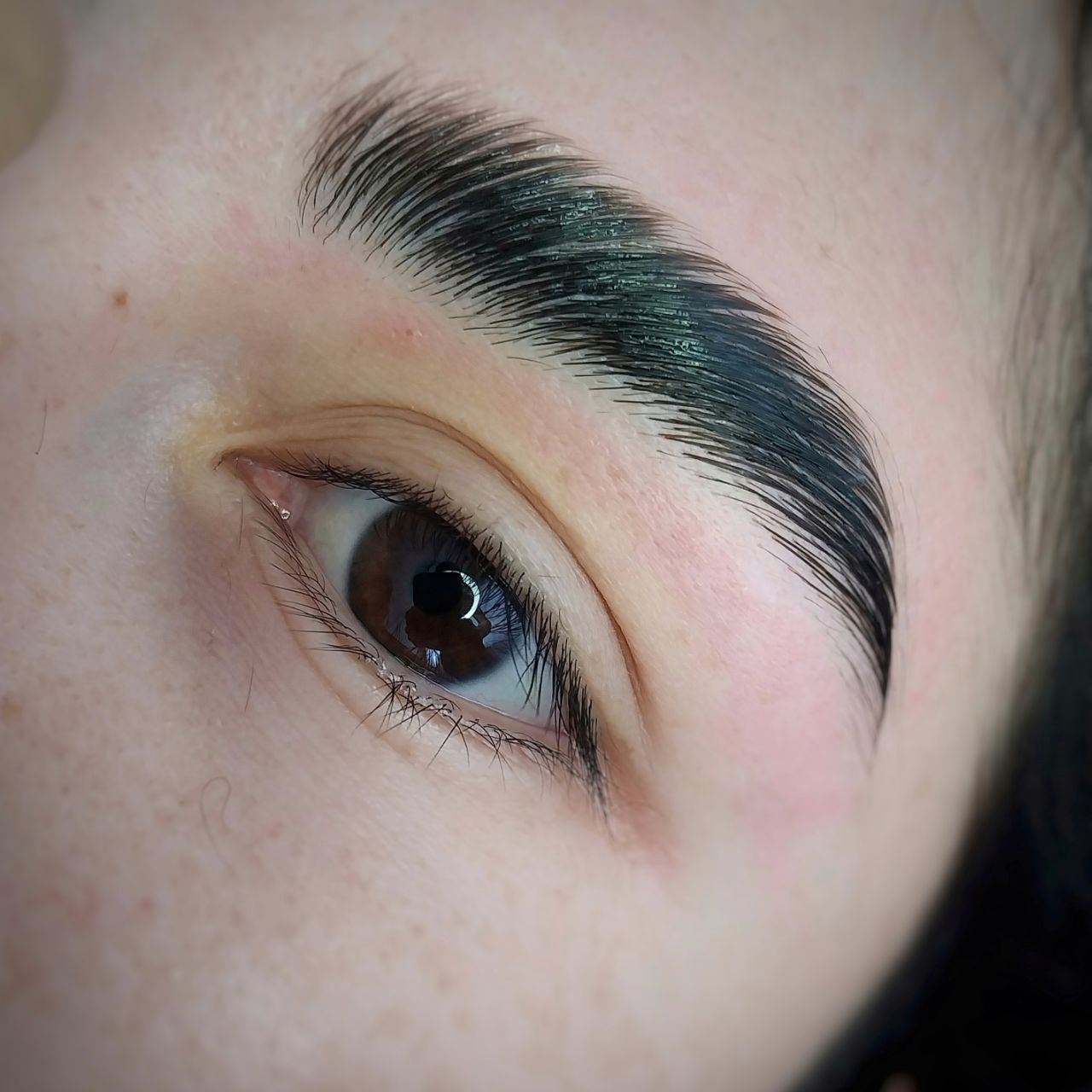 photo_5109737255525789310_y